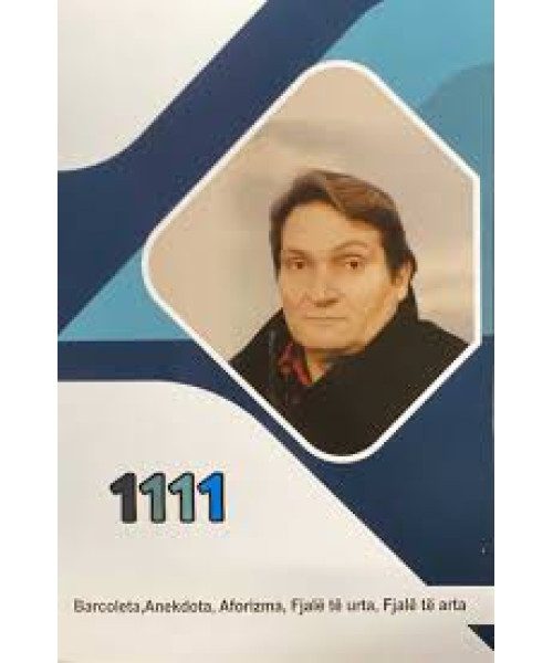 1111 1111