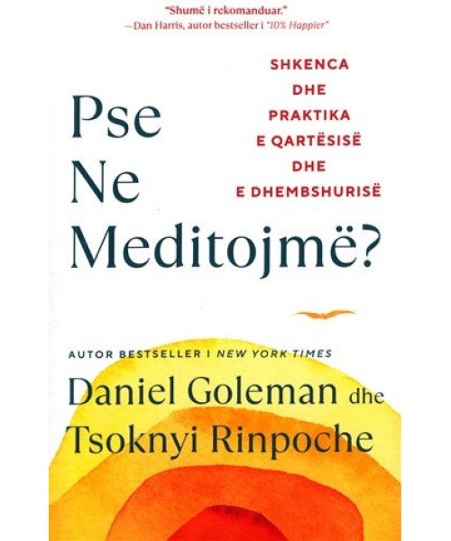 Pse Ne Meditojmë? Pse Ne Meditojmë?