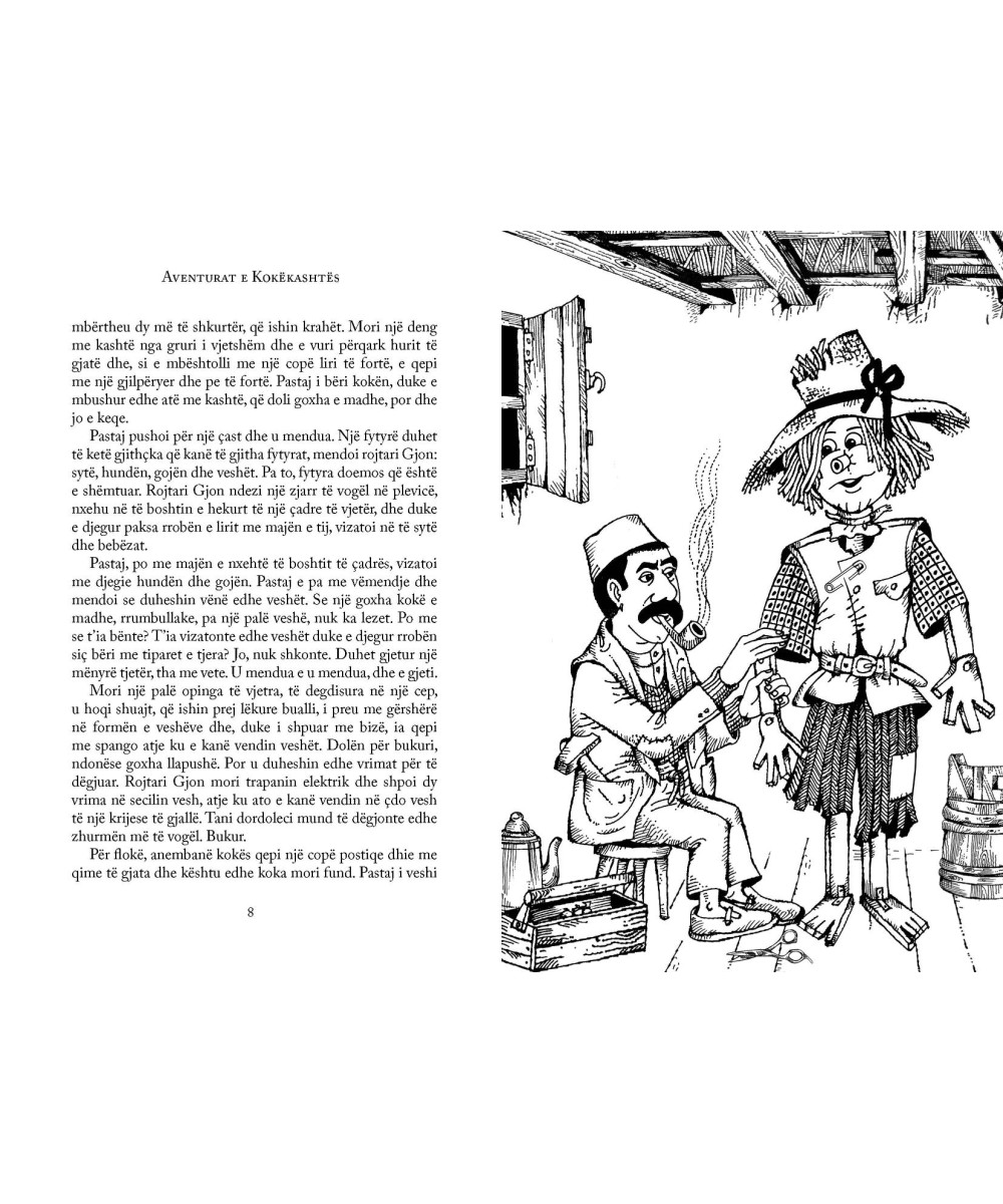 Aventurat e Kokekashtes Aventurat e Kokekashtes