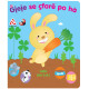 Gjeje se cfare po ha Gjeje se cfare po ha