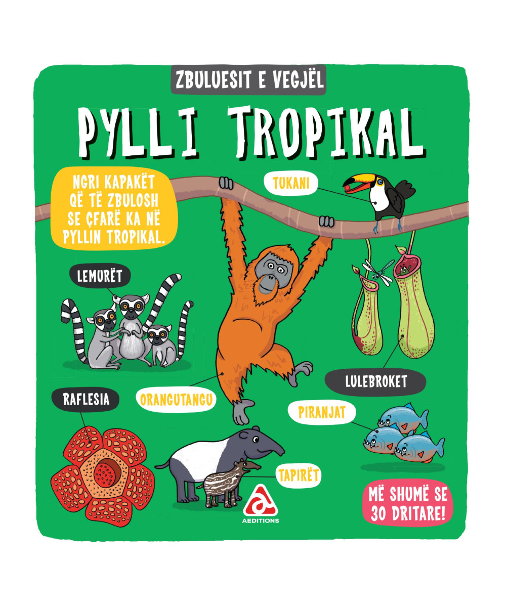 Pylli tropikal (Zbuluesit e vegjel) Pylli tropikal (Zbuluesit e vegjel)