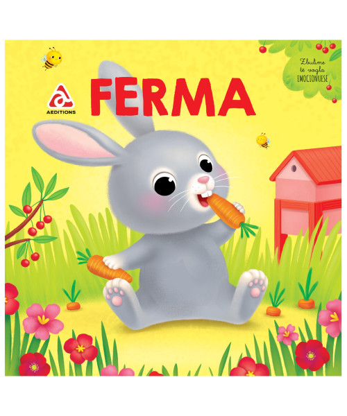 FERMA (Zbulimet te vegjelit) FERMA (Zbulimet te vegjelit)