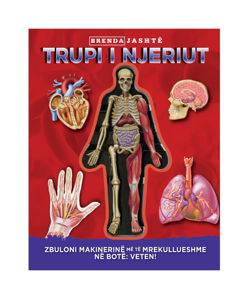 Trupi i njeriut (Brenda Jashte) Trupi i njeriut (Brenda Jashte)