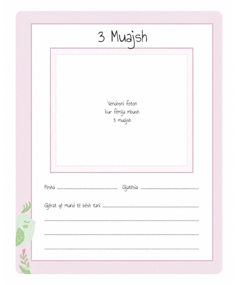 Mirë se Erdhe, Bebushe