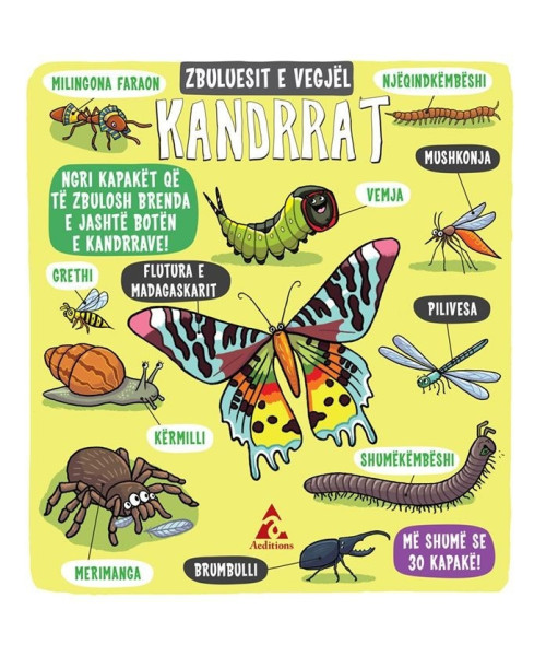 Zbuluesit e Vegjël – Kandrrat Zbuluesit e Vegjël – Kandrrat